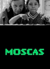 Moscas (2026)