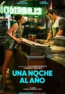Una noche al año (2026)